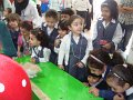 DSC03232