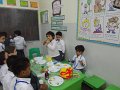 DSC00833