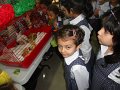 DSC00913