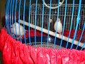 DSC01038